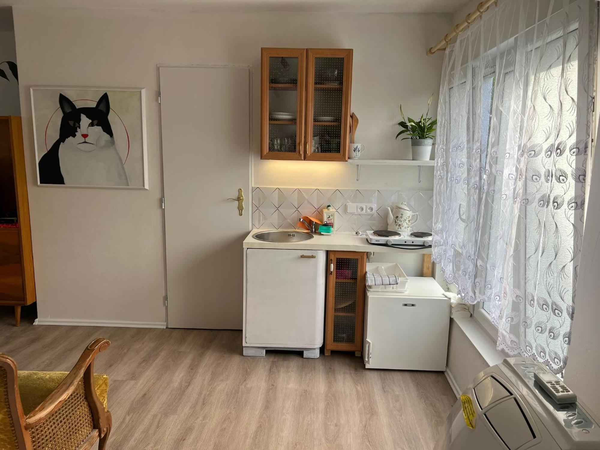 Vila Opočno Eksteriør bilde